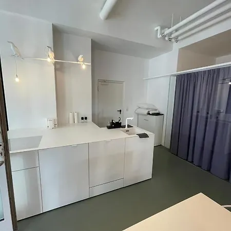 דירה Main Station Design Loft Style אינסברוק